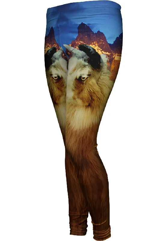 Today’s Deal Andes Llama Sunset