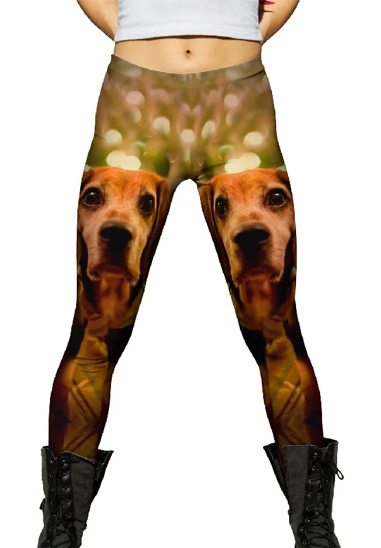 Best Seller Beagle New Year