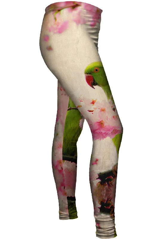 The Best Prices Blossom Parakeet