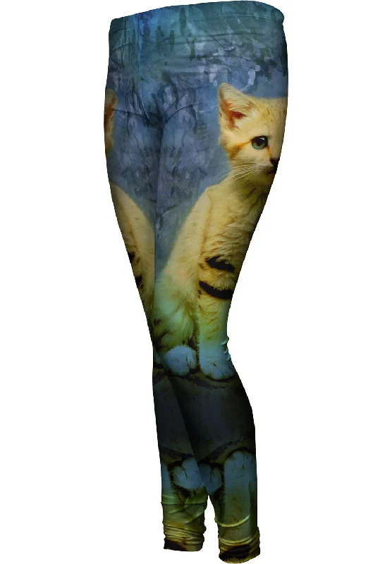 One-DAY Sale Blue Camo Kitten