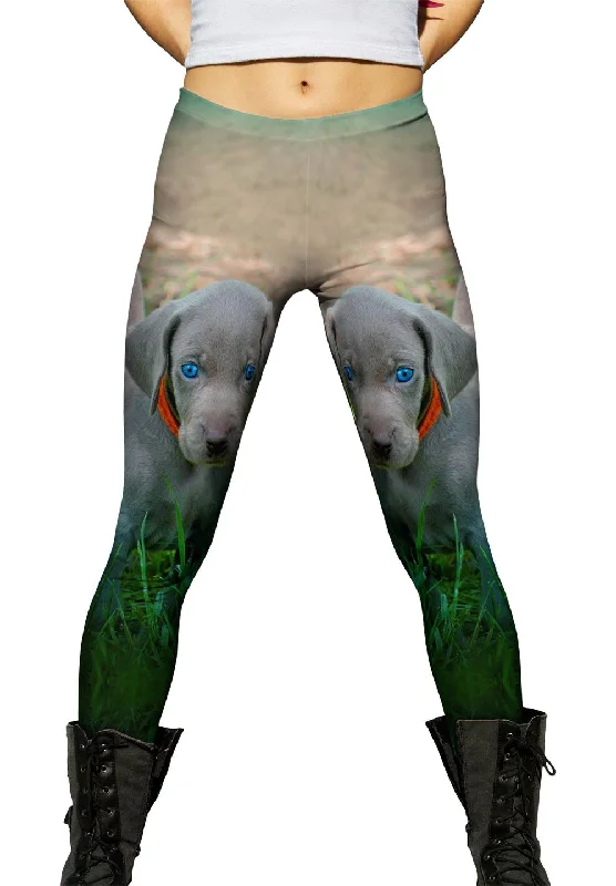 Weekend Special Blue Eye Puppy