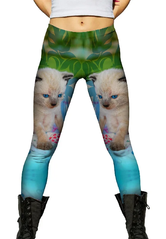 Big Discounts Blue Siamese Kitten