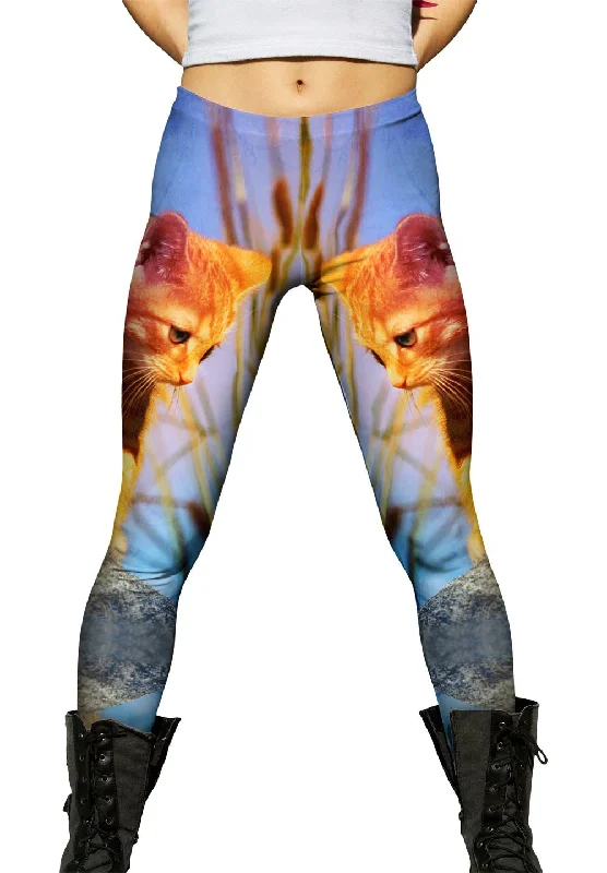 Huge Savings Bold Kitten