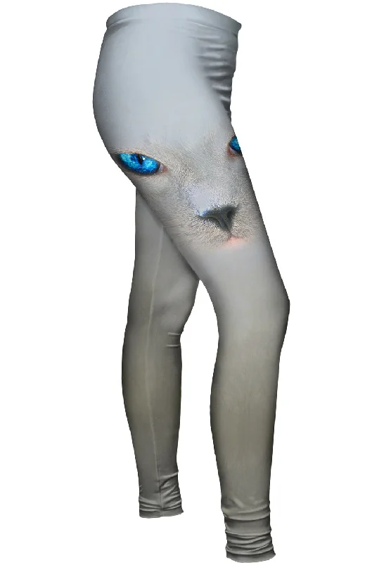 Take Advantage Cat 002