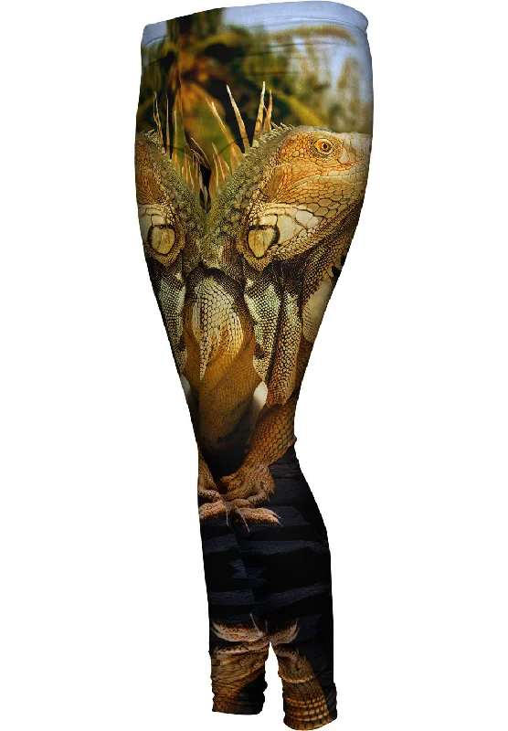 Discount Deals Coast Beach Iguana