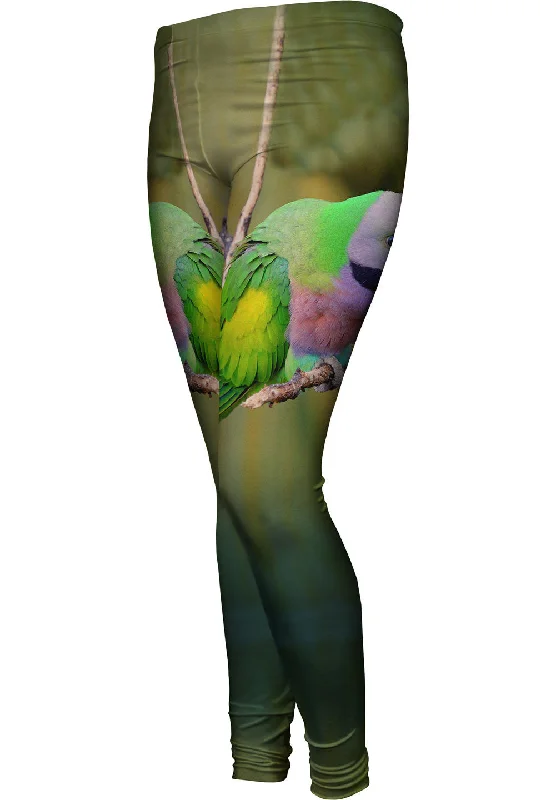Super Sale Colorful Derbyan Parakeet