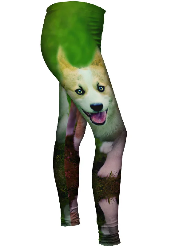 Take Advantage Corgi Run Puppy