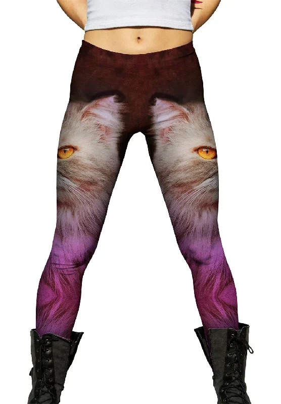 Exclusive Offers Creepy Kitten