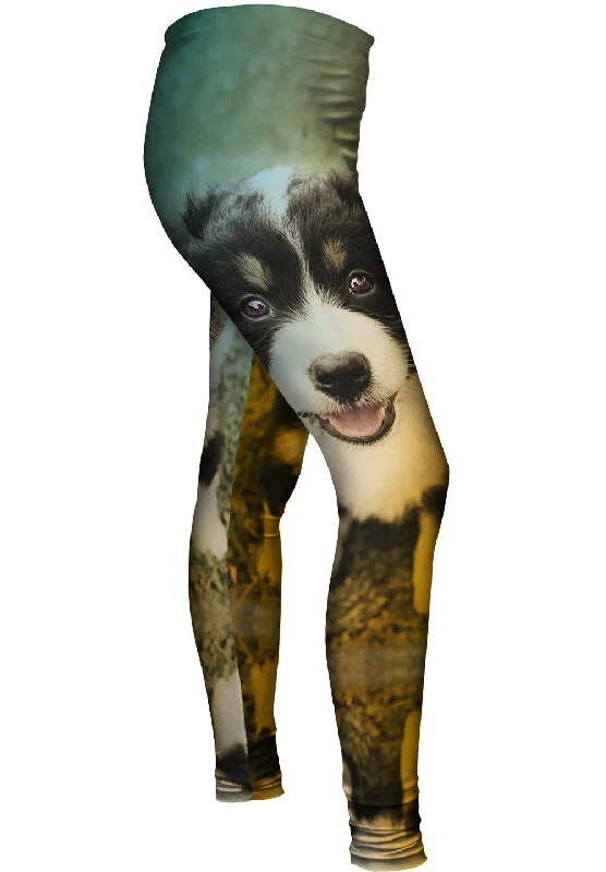 Weekend Deal Cute Herd Puppy