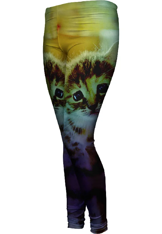 Flash Deals Dory Kitten