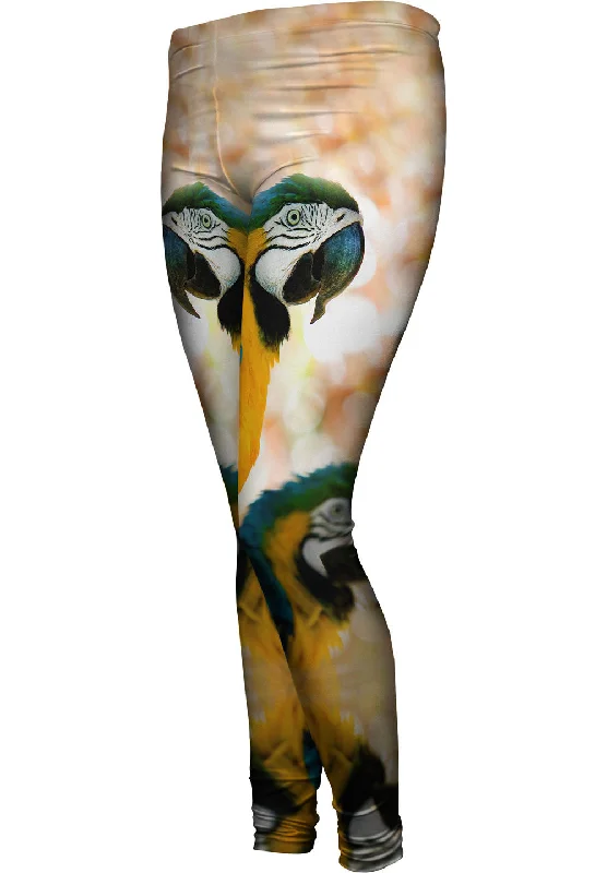 Reduced Prices Duo Macaw