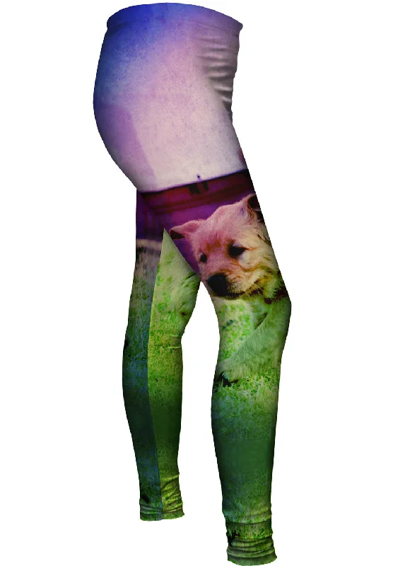 Price Drop House Run Puppy