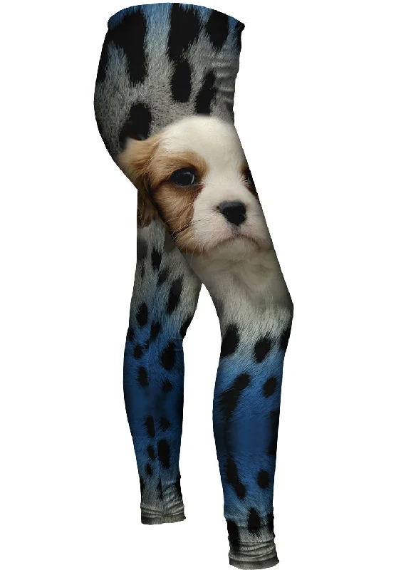 YEAR-End Clearance Leo Puppy