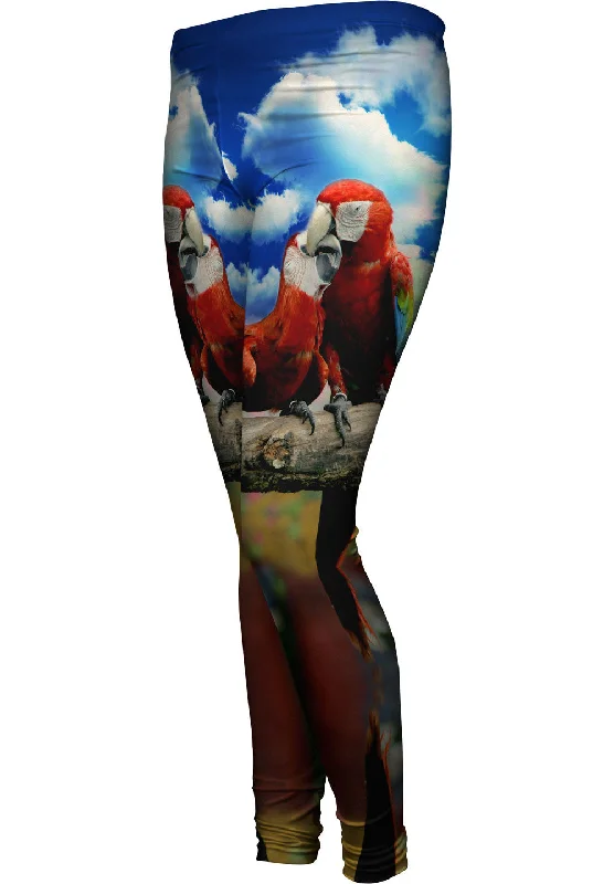 Price Smash Love Kiss Macaw