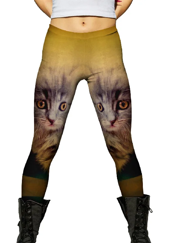 Clearance Items Oldie Kitten