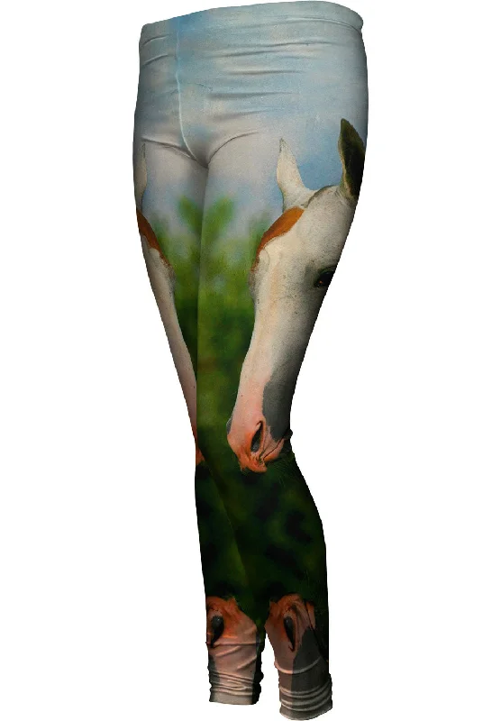 Buy Now Paso Fino Model