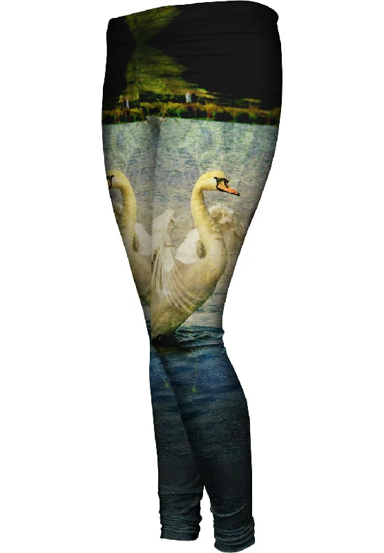 Markdowns Pond Swan