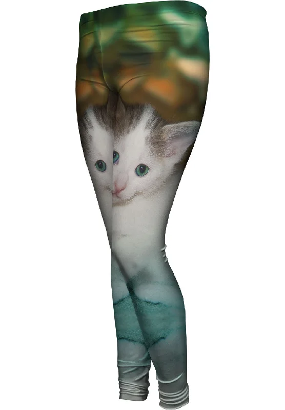 Special Discount Relaxing Kitten