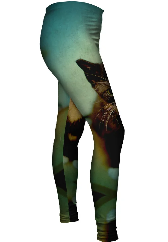Discount Mania Salem Kitten