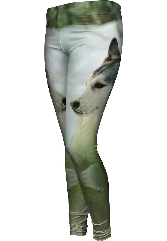 Last Chance Siberian Husky Snow