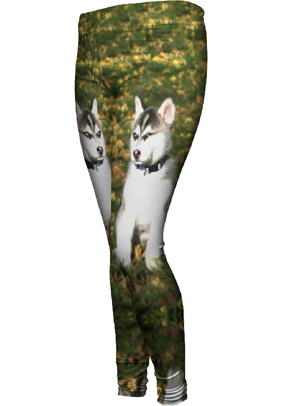 YEAR-End Sale Small Husky
