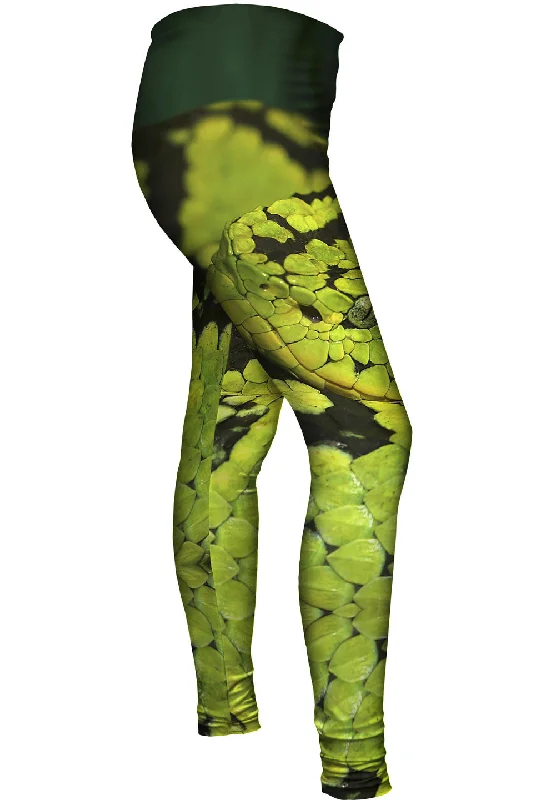 Fantastic Offers Snake 001