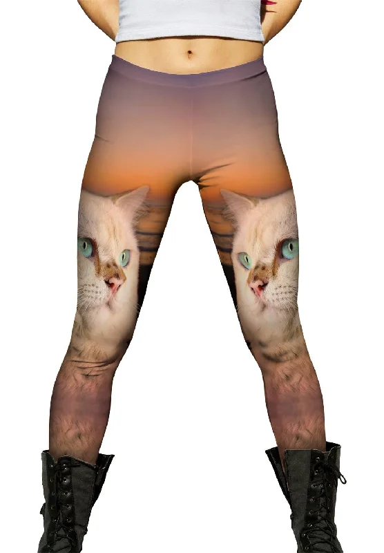 Discount Extravaganza Sunset Persian Cat