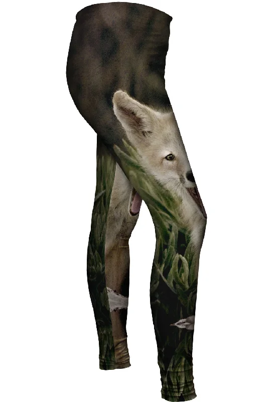 Deal of the Week Tall Grass Fox