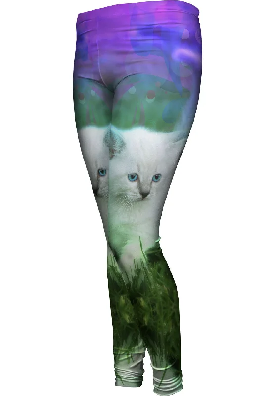 Price Cut Walking Kitten