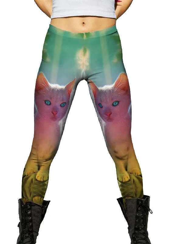 Final Markdown Winged Kitten