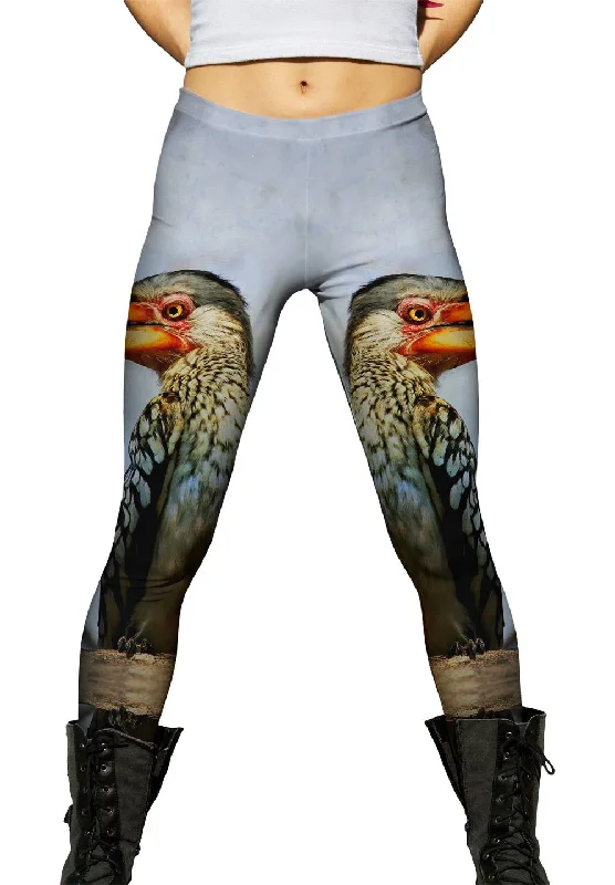 Mega Deal Yellow Billed Hornbill