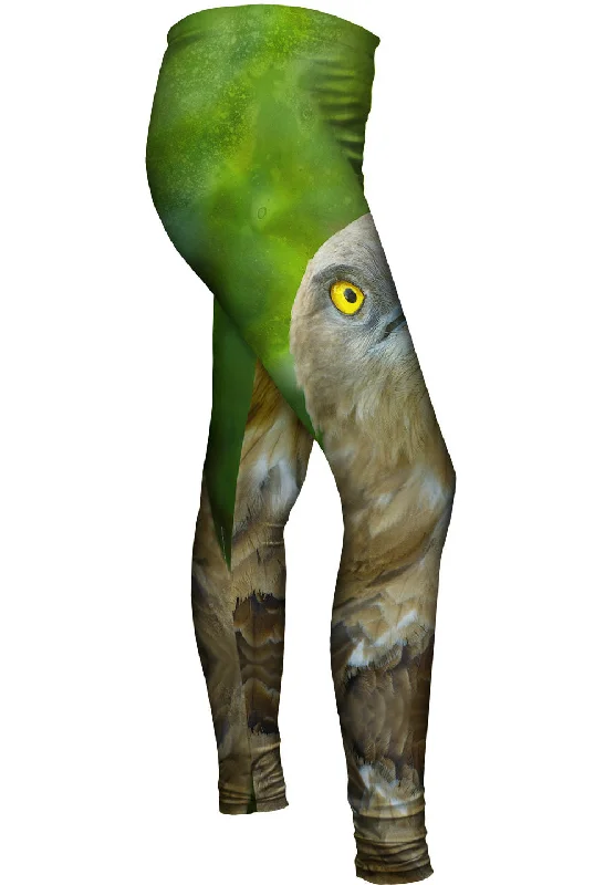 Factory Direct Sale Yellow Eye Hawk