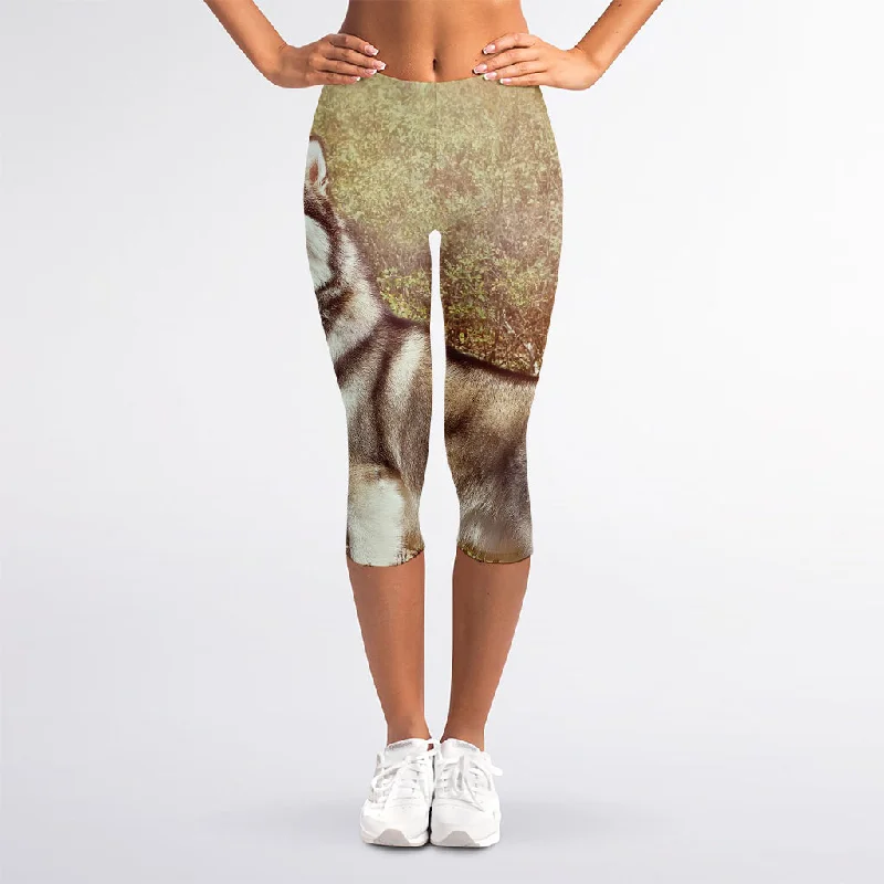 Price Smash Vintage Alaskan Malamute Print Women's Capri Leggings