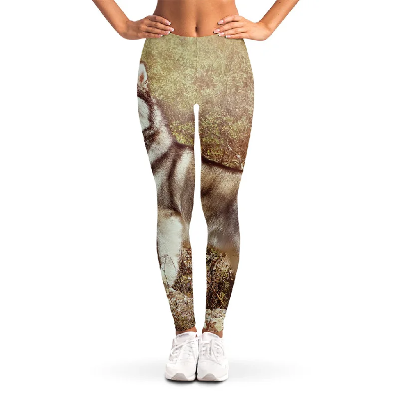 Buy Now Vintage Alaskan Malamute Print Women's Leggings